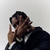 Novelist