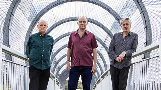 The Necks