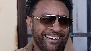 Shaggy
