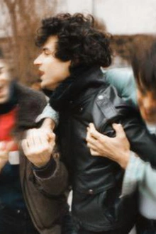 BB BRUNES
