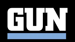 Gun