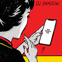 concert DJ Shadow