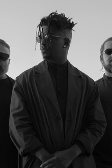 Animals as Leaders