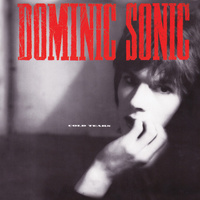 concert Dominic Sonic