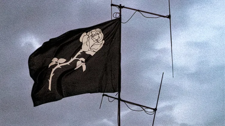 LIBERATO