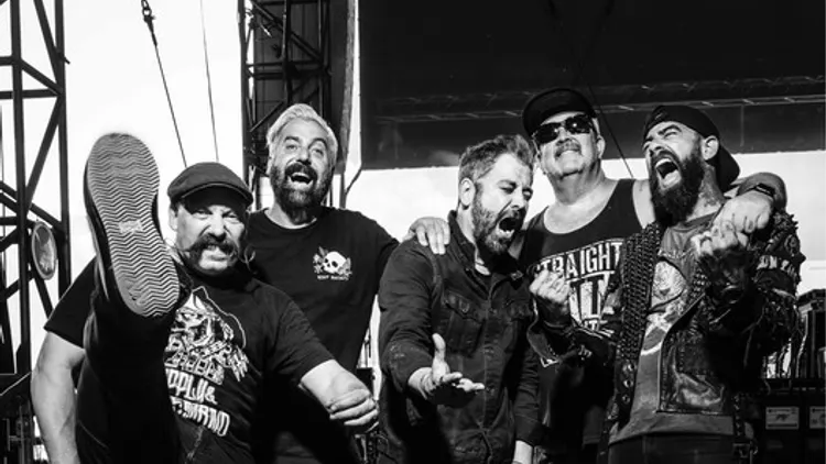 ZEBRAHEAD
