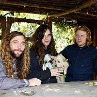 Fuzz