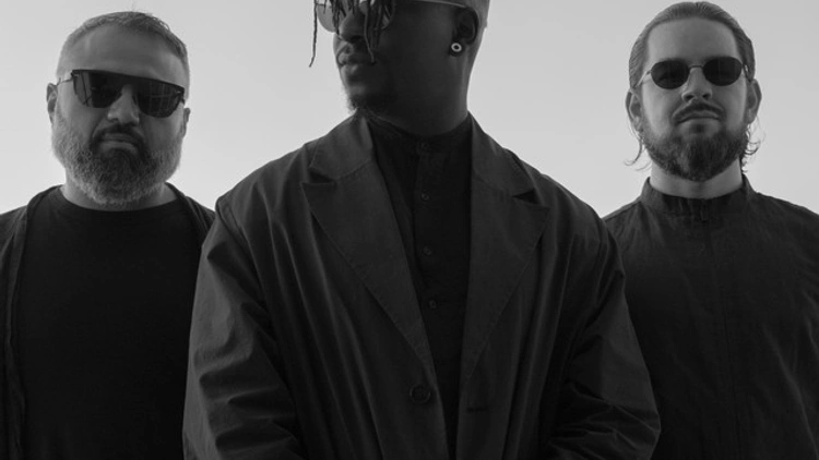 Animals as Leaders