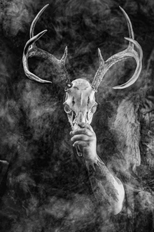 WOLVES IN THE THRONE ROOM + GUEST + STYGIAN BOUGH
