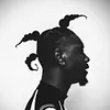 Beeztrap KOTM