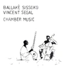 Vincent Ségal