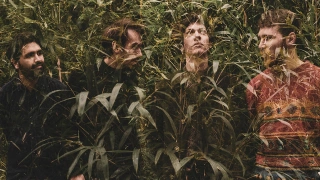 Hex Post Festival #1