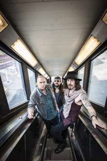 THE WINERY DOGS