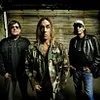 The Stooges
